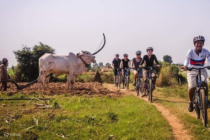 The Mekong Island Biking Tour and Lunch with farmers - The Sum Up