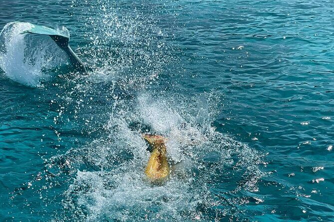 The Mermaid Cruise by Medusa Cruises 2:30-Hour Family Adventure - FAQ