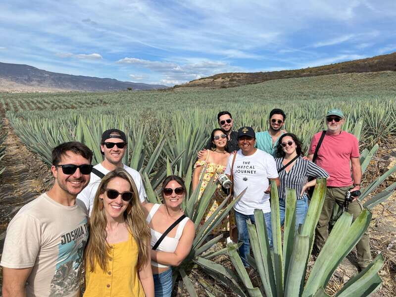 The Mezcal Journey - Key Points