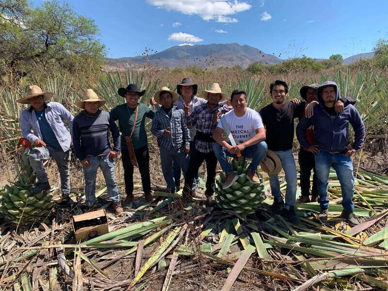 The Mezcal Journey - The Sum Up