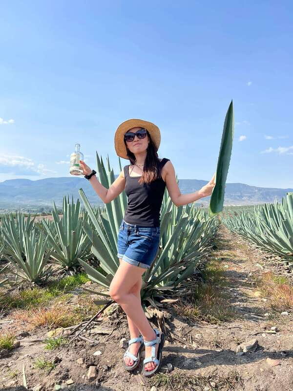 The Mezcal Journey - FAQ