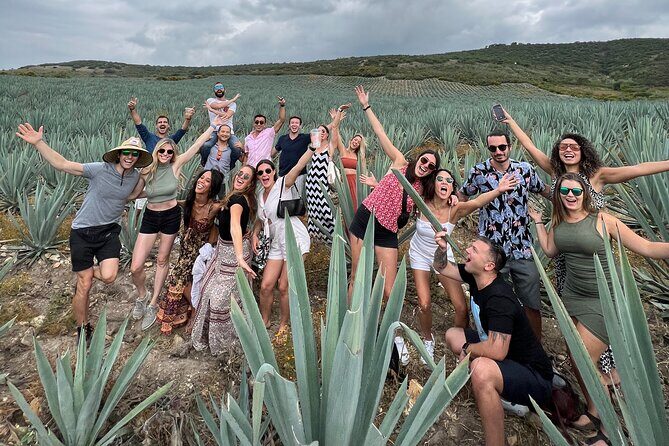 The Mezcal Journey - A Detailed Look at the Tour Experience