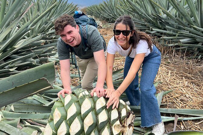 The Mezcal Journey - Final Thoughts