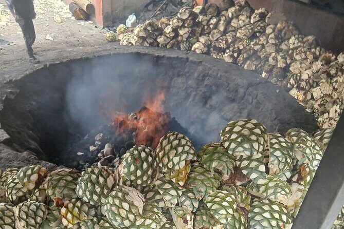 The Mezcal Tour - Final Thoughts: Is It Worth It?