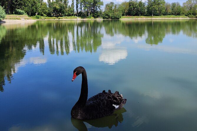 The Milan you don't expect, bike tour with picnic on the lake - Key Points