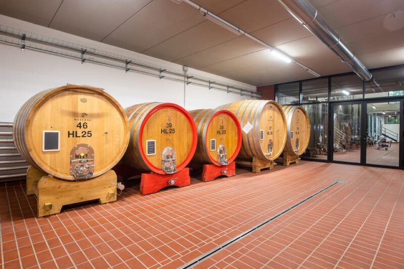 The MONSU: Winetasting in La Morra. - Price & Value