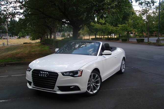 The most beautiful Alsatian villages in an Audi A5 Cabriolet by the Wine Route - Who Will Love This Tour?