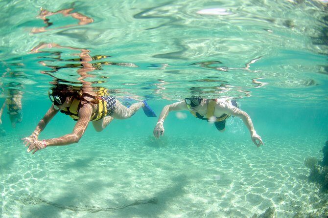 The most Intrepid Speedboat Adventure in Cancun Snorkel included - The Itinerary in Detail