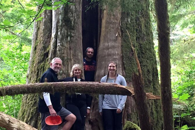 The Mt St Helens Adventure Tour from Portland - A Detailed Look at the Itinerary