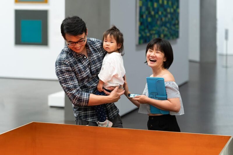 The Museum of Fine Arts, Houston Entry Ticket - FAQs