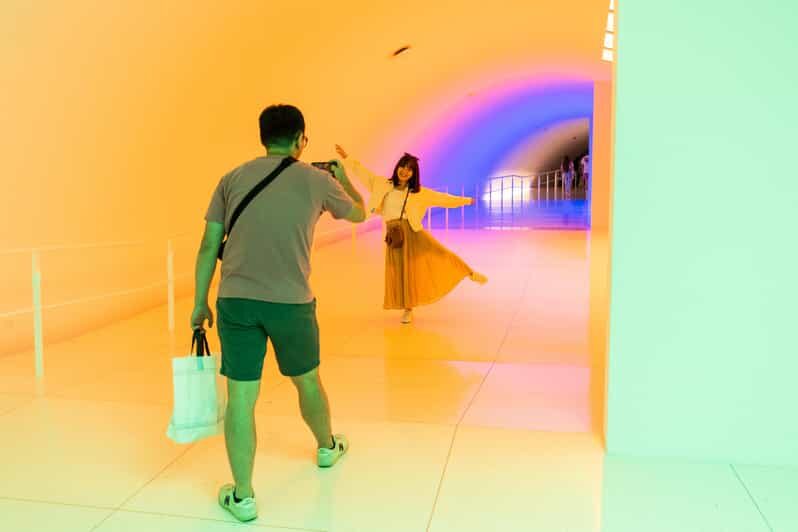 The Museum of Fine Arts, Houston Entry Ticket - A Closer Look at the Museum Experience