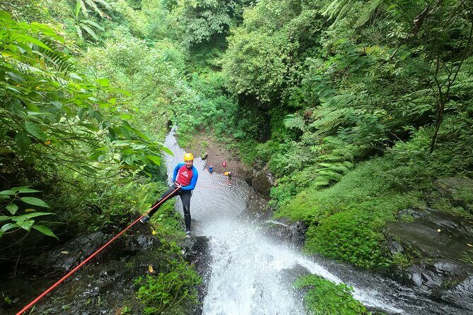 The Natural Canyoning in Alam Canyon - Setting the Scene: Bali’s Hidden Wilderness