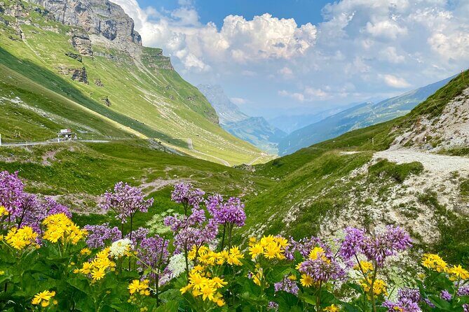 The natural wonders of Switzerland: private tour from Basel (1 day) - Who Is This Tour Best For?