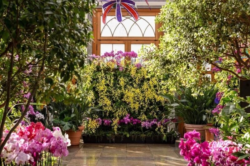The New England Botanic Garden Day Trip from Boston - Arrival and Self-Guided Exploration