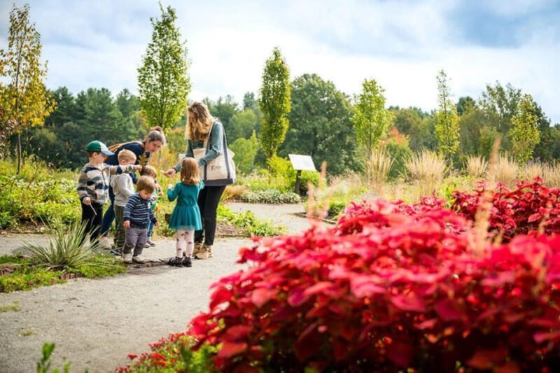 The New England Botanic Garden Day Trip from Boston - Authentic Insights and Practical Tips