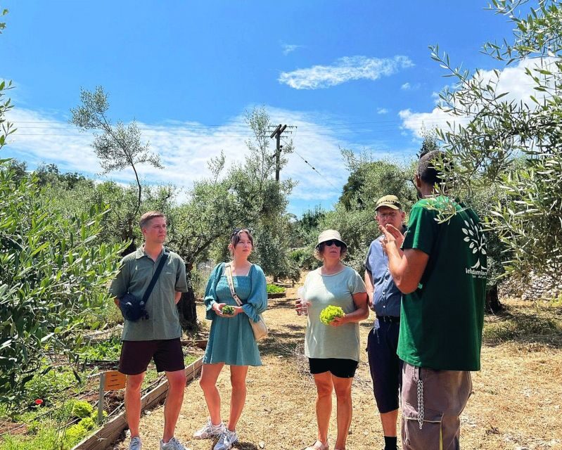 The Olive Oil Experience @ Lefkada Micro Farm - Key Points