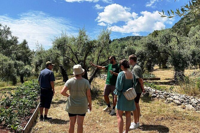 The Olive Oil Experience @ Lefkada Micro Farm - Who Will Love This Tour?