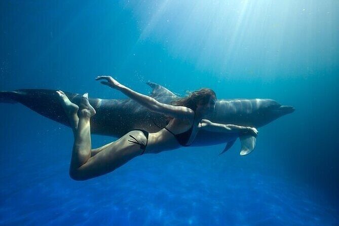 The only Natural Space Dolphin Encounter in Cabo Optional Pickup! - Key Points