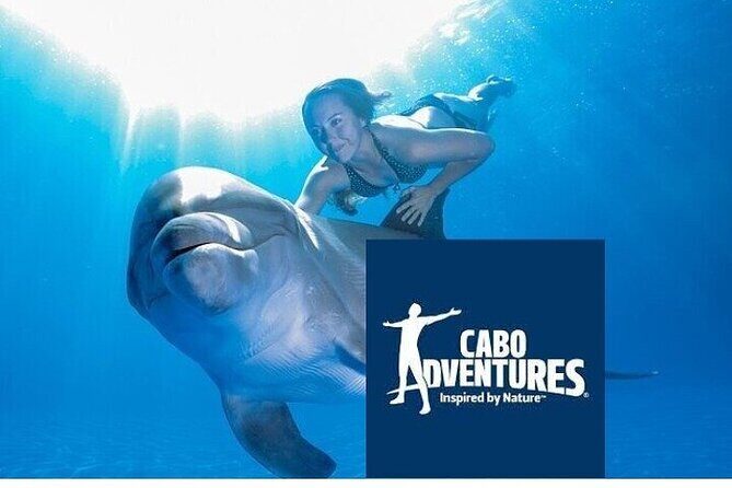 The only Natural Space Dolphin Encounter in Cabo Optional Pickup! - The Experience: What You Can Expect