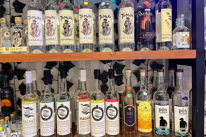 The Only Vegan Tacos and Mezcal Tasting Tour - Who Will Love This Tour?