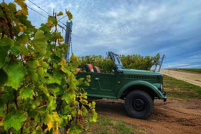 The only Wine Cocktail Club in Tokaj, Lunch & Fun, Hungary - FAQ