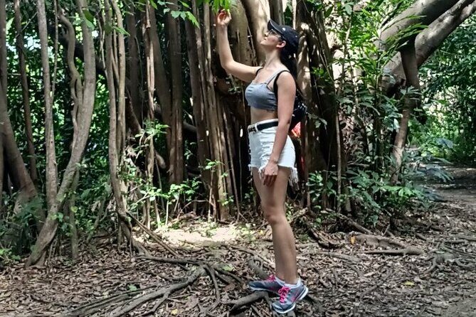 The Original Bicycle Tour in the Green Jungle of Bangkok - Exploring the Itinerary: What to Expect and Why It Matters