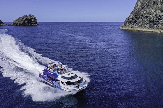 The Original Full day Bay of Islands Cruise with Dolphins - Who Should Book This Tour?