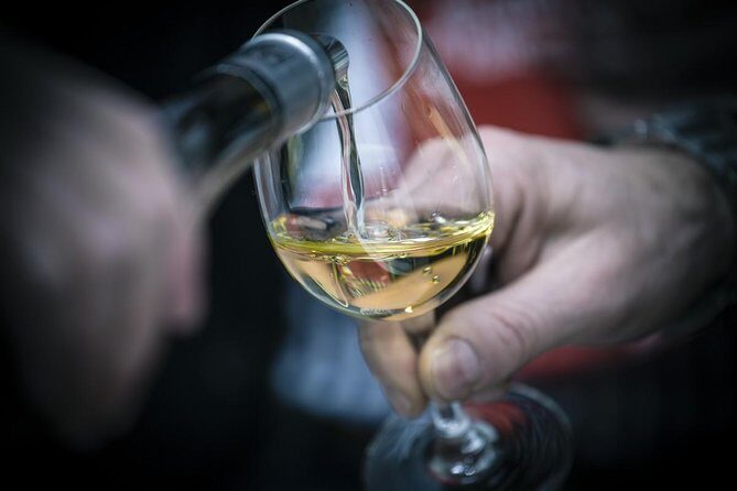 The Original Syrah Wine Tour (9:00 am - 1:30 pm) - Small Group Tours from Lyon - Key Points