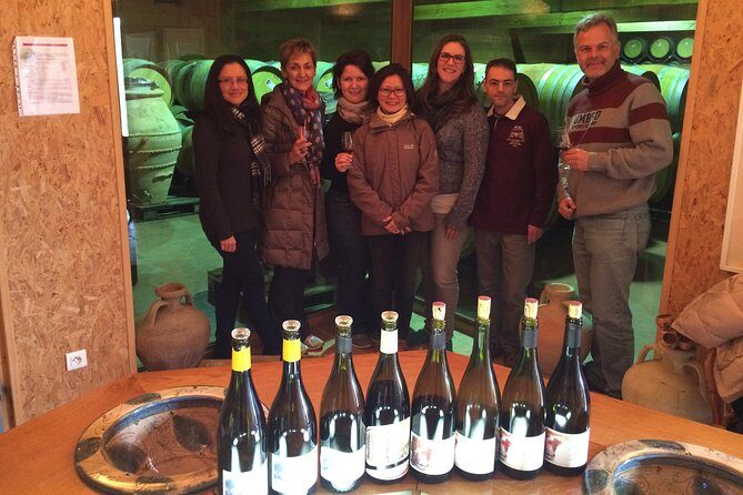 The Original Syrah Wine Tour (9:00 am - 1:30 pm) - Small Group Tours from Lyon - Who Should Consider This Tour?