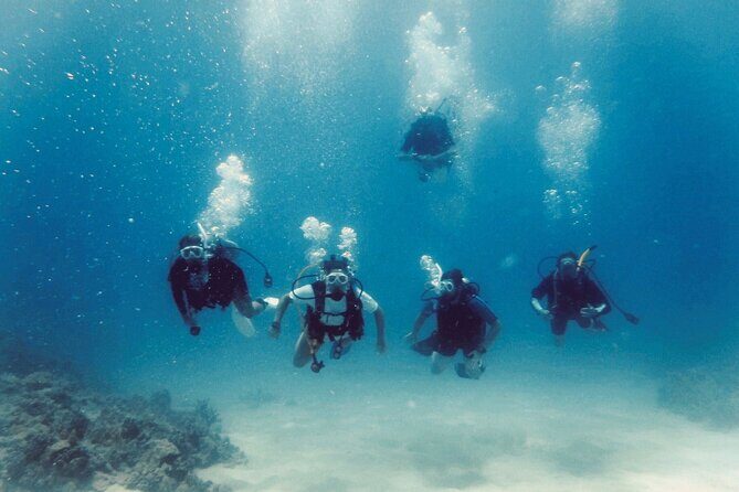 The Original Tiger Shark Challenge - The Original Tiger Shark Challenge: An Authentic Big Island Adventure