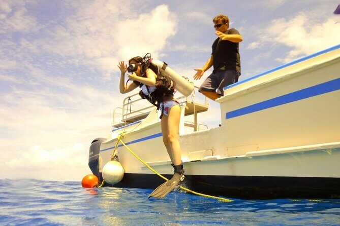 The Original Tiger Shark Challenge - A Closer Look at the Tour Experience