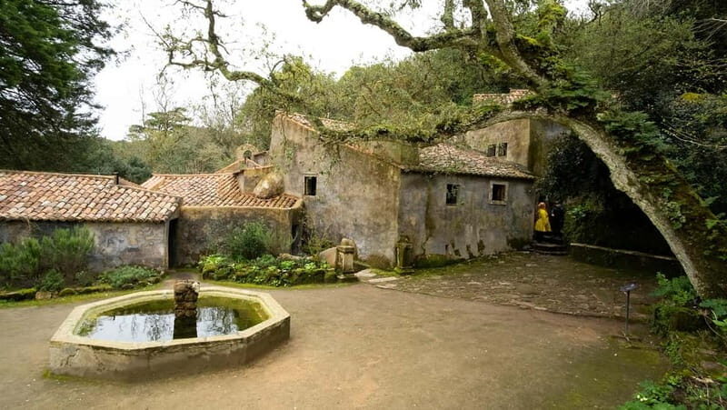 The Other Side of Sintra - Forgotten Woods Tour - Key Points
