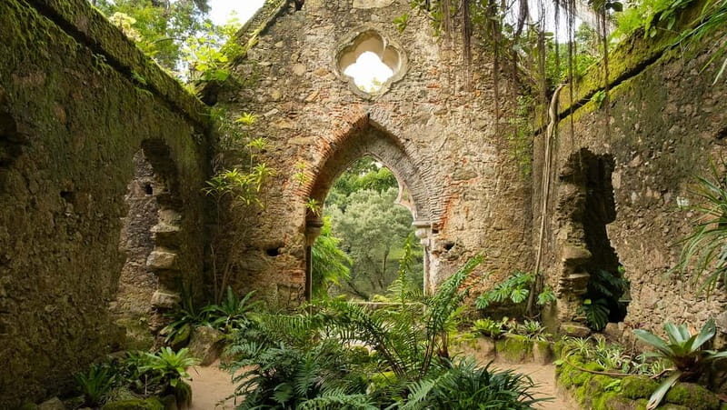 The Other Side of Sintra - Forgotten Woods Tour - Exploring Sintra’s Hidden Corners: The Essential Details