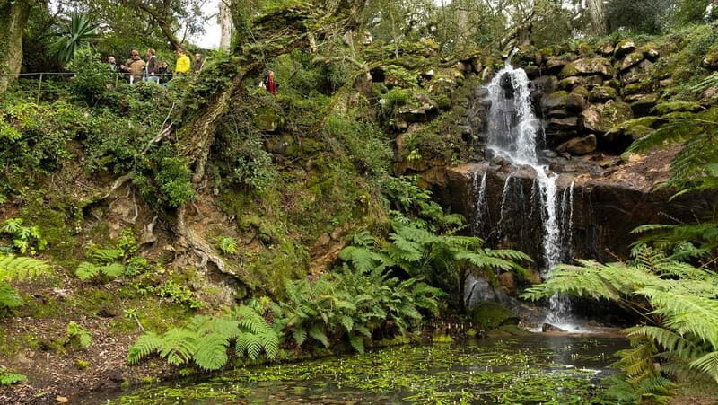 The Other Side of Sintra - Forgotten Woods Tour - The Guides and Experience Quality