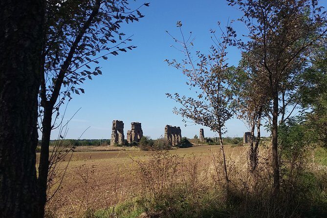 The Park of the Aqueducts Private Walking Tour - Final Thoughts: Is It Worth It?
