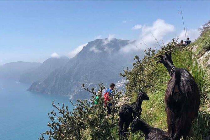 The Path of The Gods Private Guided Hike with Transfer - Starting Point: Convenience from Your Doorstep