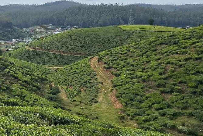 The Pekoe Trail Stage 16- Ella to Demodara - Authentic Experiences & Why They Matter