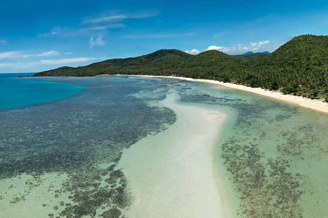 The Pigs Island snorkeling trip from Koh Samui by Speedboat - The Sum Up