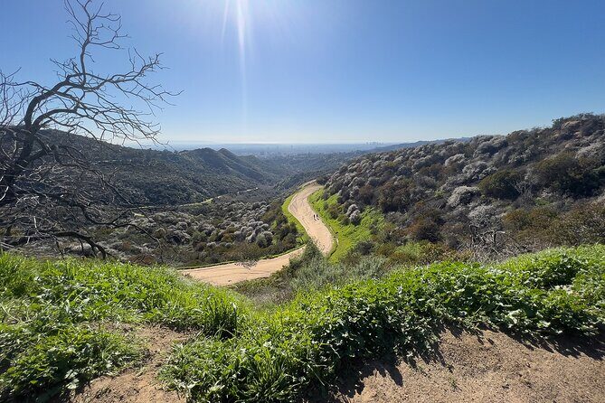 The Premier Hollywood Sign Tour: Nature in the Heart of the City - Who Should Consider This Tour?
