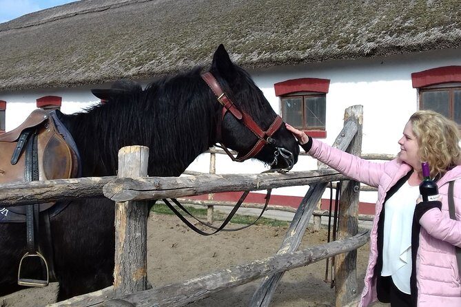 The "Puszta" Horse Show - An In-Depth Look at the "Puszta" Horse Show Experience