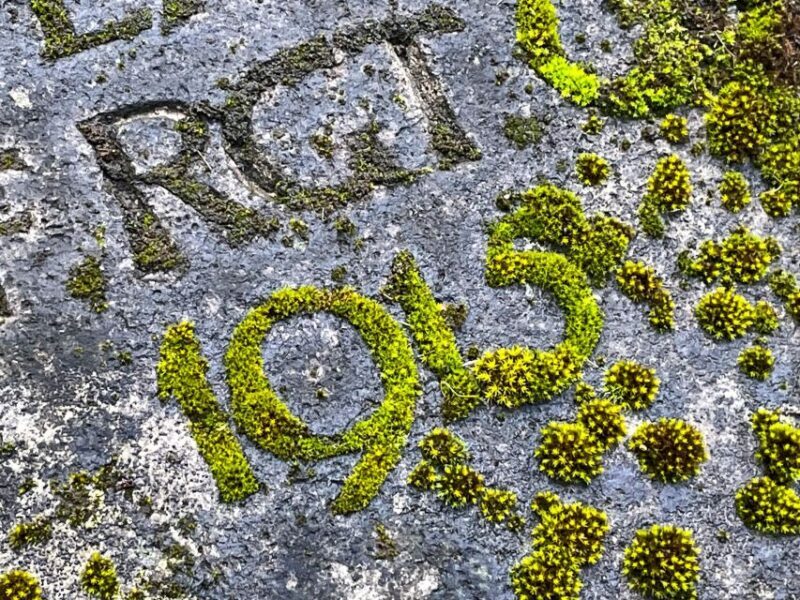 The rather unknown Melaten - Discovering the Cemetery’s Hidden Corners