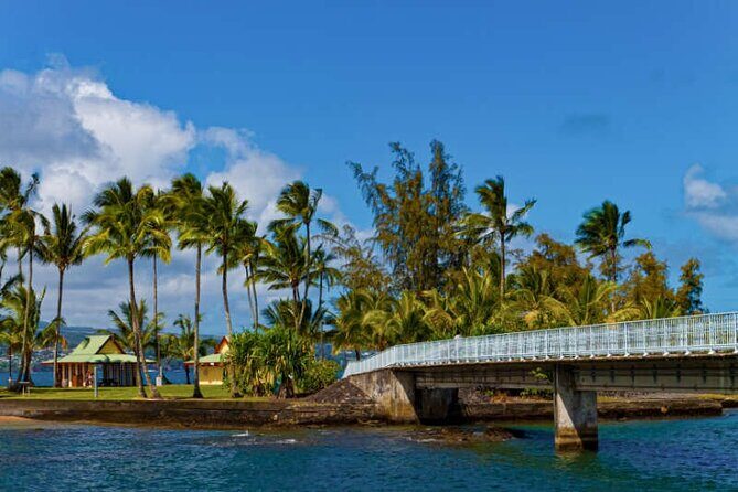 The Real Big Island: Volcanoes, Waterfalls, Beaches & Lunch - Who Should Consider This Tour?