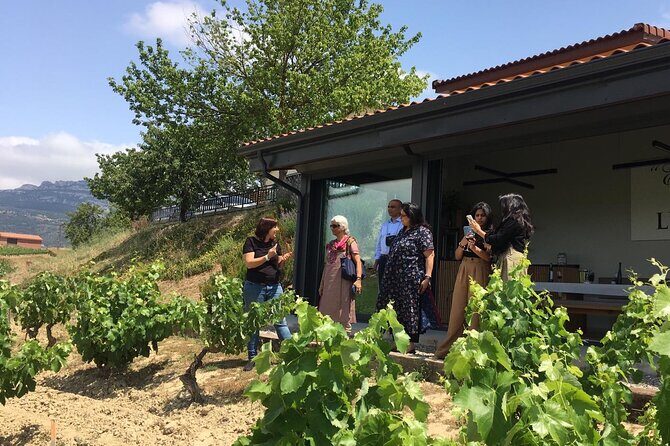 The Real Rioja Explore Tour - Private experience - Key Points