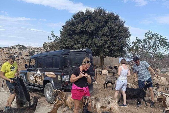 The Roads Of Wine Olive Oil And Cretan Tradition in Malia - Key Points