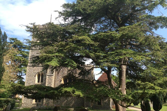 The Roman City of St Albans Private Tour - Who Should Consider This Tour?