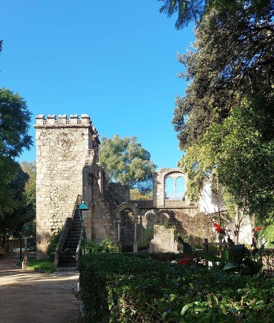 The Roman Tour & Wine tasting. - Assessing Value and Practicalities