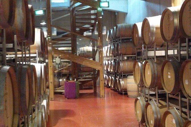 The Salt Mines, The Winery, The Muddy Volcanoes! The Fixers Private Tour - Who Will Love This Tour?