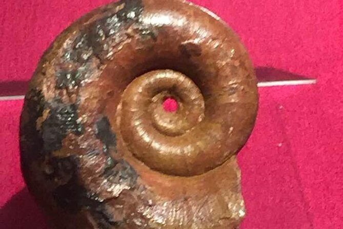 The Secrets of Castellammare del Golfo, Sicily - Who Will Enjoy This Tour?