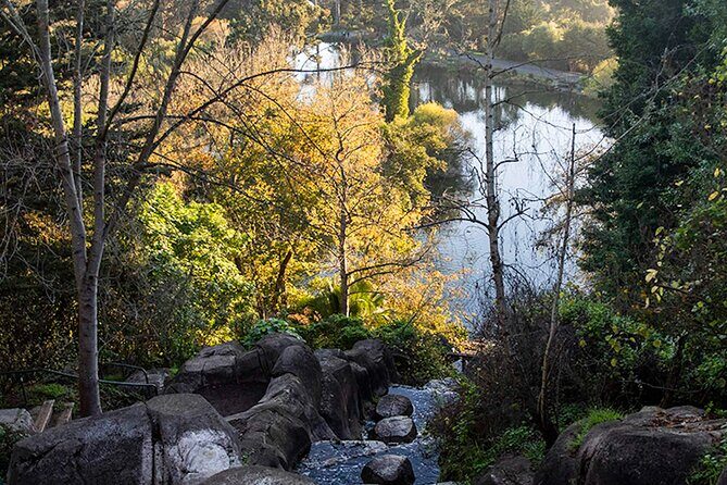 The Secrets of Golden Gate Park: A San Francisco Chronicle Self-Guided Tour - Final Thoughts