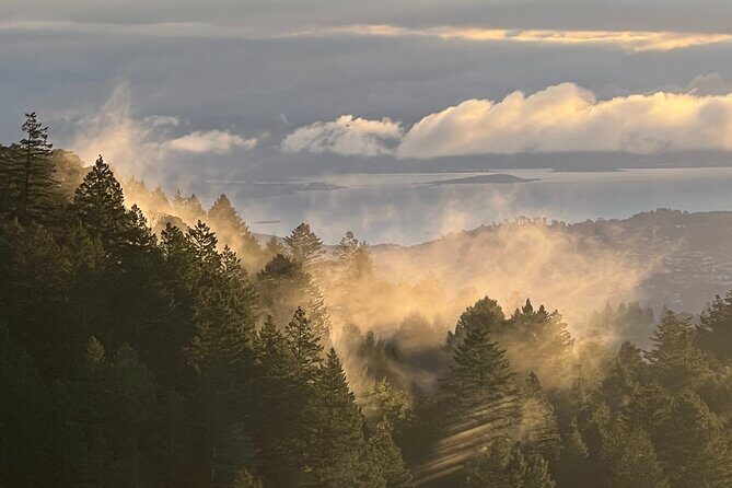 The Secrets of Sacred, Sexy Salmon, Spawning NOW - Who Will Love This Tour?